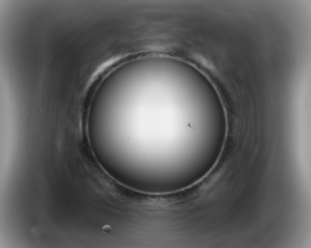 X0000086251214200704121945