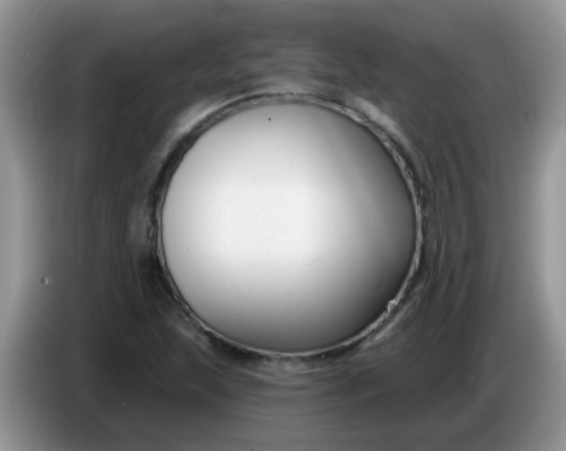 X0000086251215200704121945