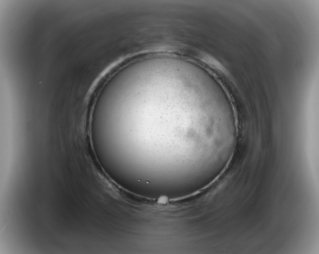 X0000086251216200704121945