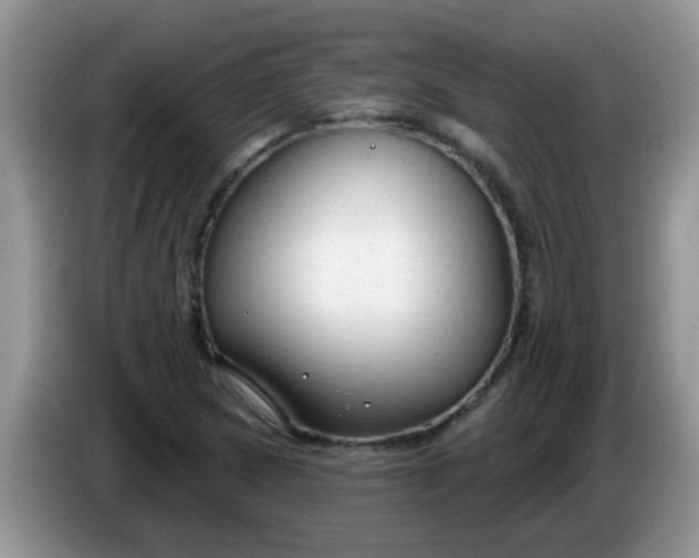 X0000086251217200704121945