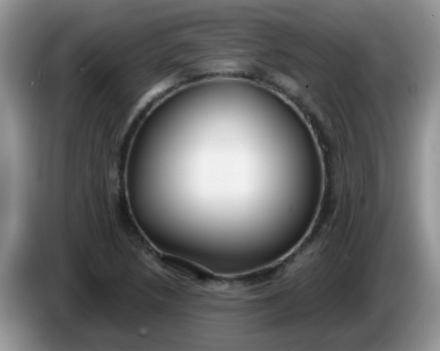 X0000086251218200704121945