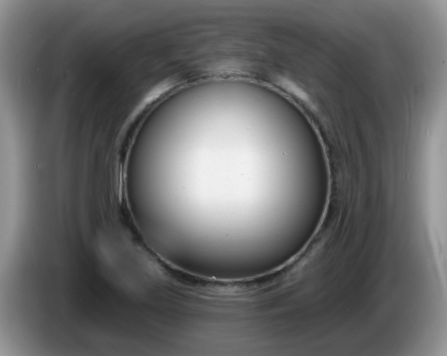 X0000086251219200704121945