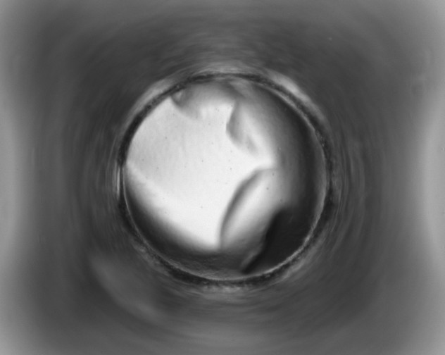 X0000086251221200704121945