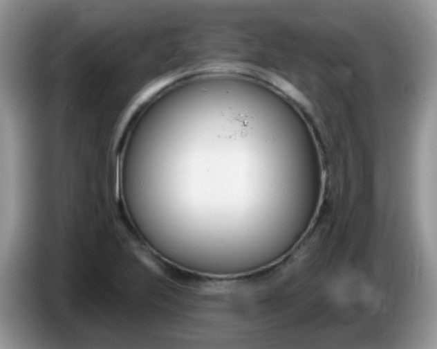 X0000086251223200704121946