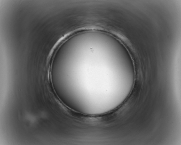 X0000086251224200704121946