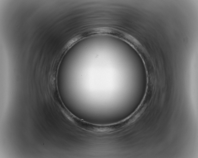 X0000086251225200704121946