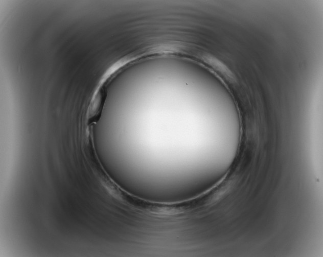 X0000086251226200704121946