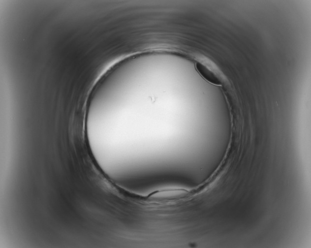 X0000086251228200704121946