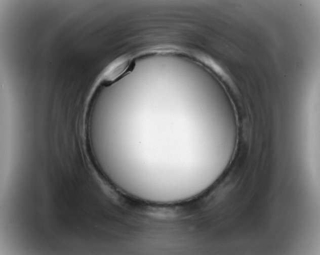 X0000086251229200704121946