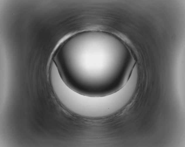 X0000086251230200704121946