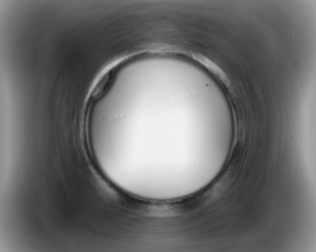 X0000086251231200704121946