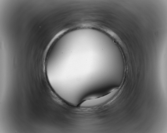 X0000086251232200704121946