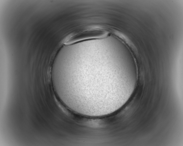 X0000086251233200704121946