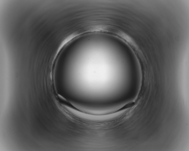 X0000086251234200704121946