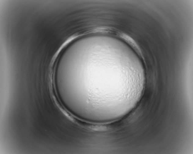 X0000086251235200704121946