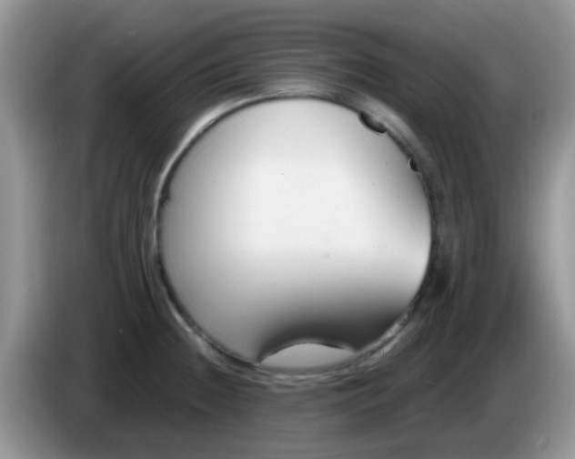 X0000086251236200704121946