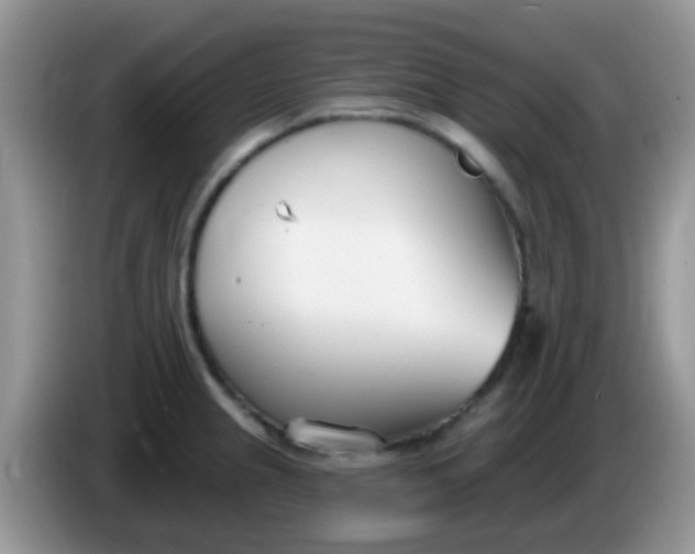 X0000086251237200704121946