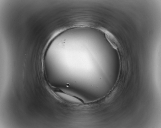X0000086251238200704121946