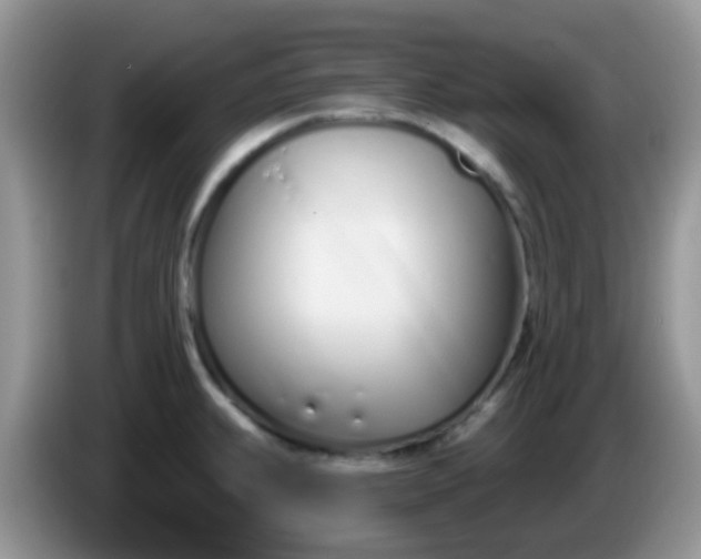 X0000086251239200704121946