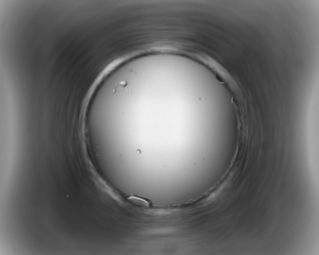X0000086251240200704121946