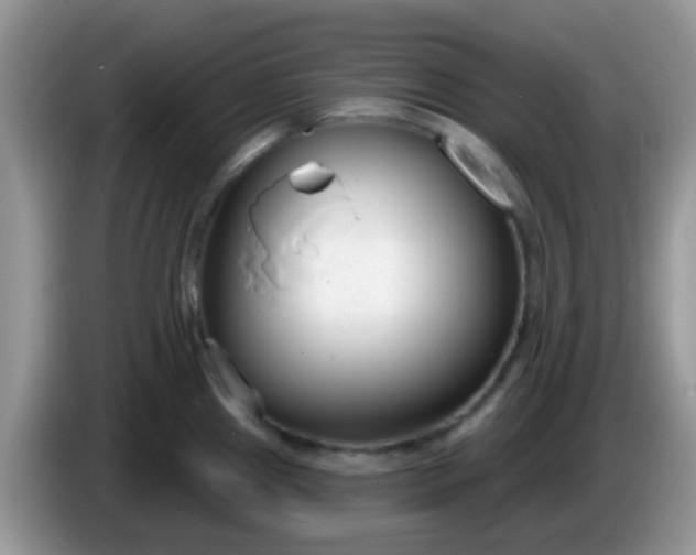 X0000086251241200704121946