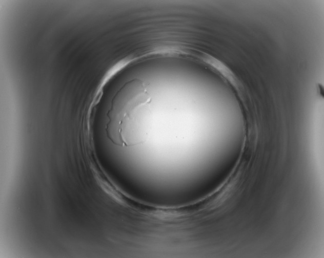 X0000086251242200704121946