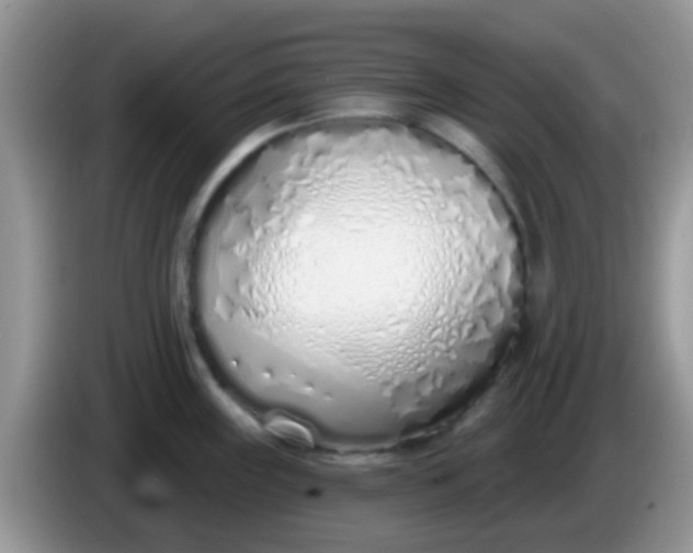 X0000086251243200704121946