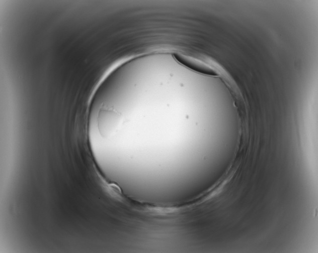 X0000086251244200704121946