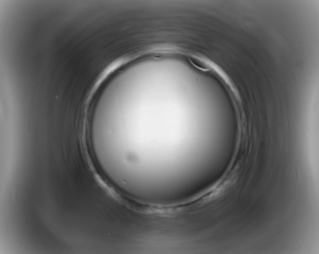 X0000086251245200704121946