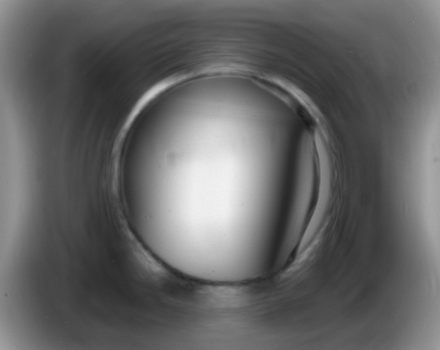 X0000086251246200704121946