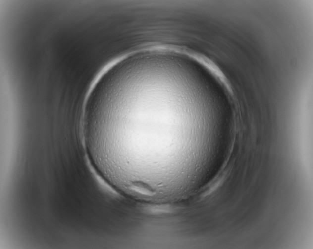 X0000086251247200704121946