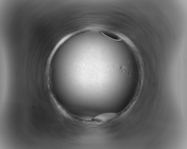X0000086251248200704121946