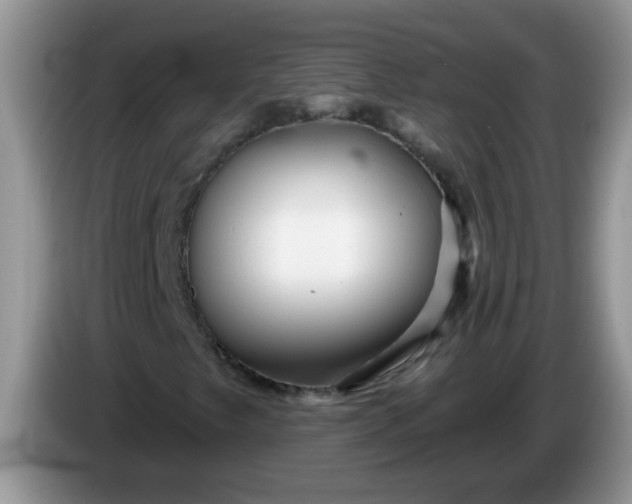 X0000086251249200704121945