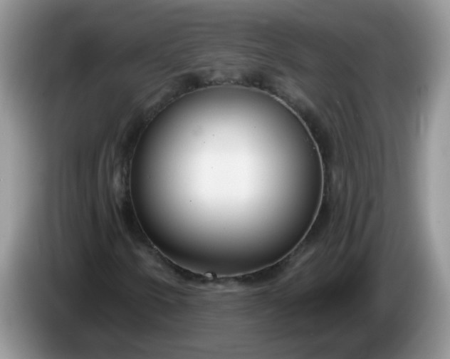 X0000086251250200704121945