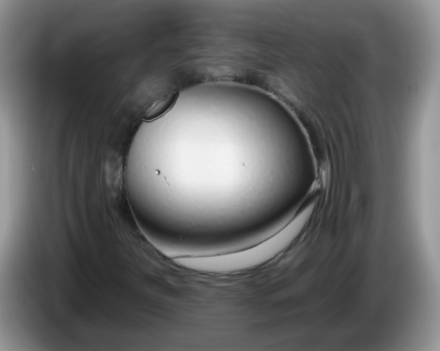 X0000086251251200704121945