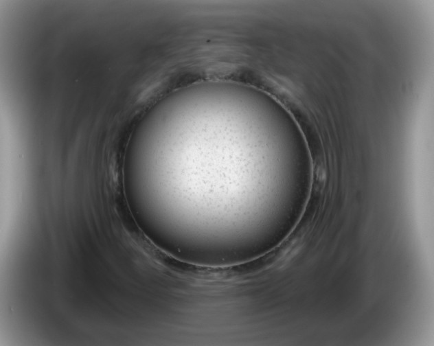 X0000086251252200704121945