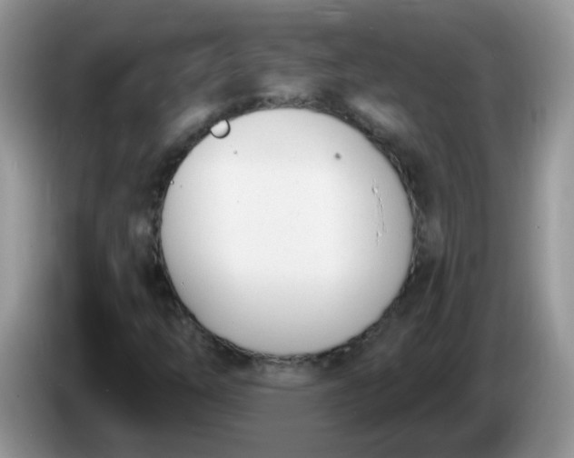 X0000086251254200704121945