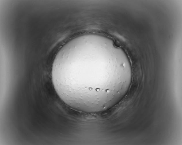 X0000086251255200704121945