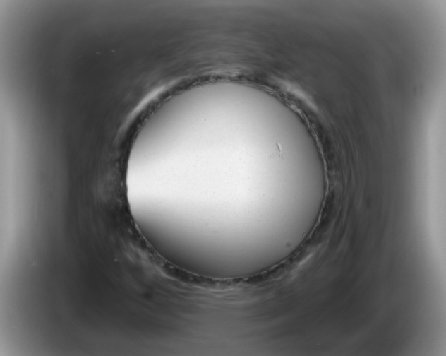 X0000086251256200704121945