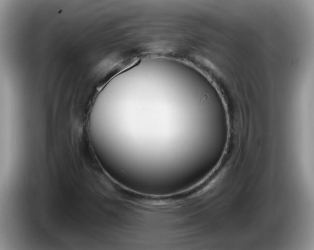 X0000086251257200704121945