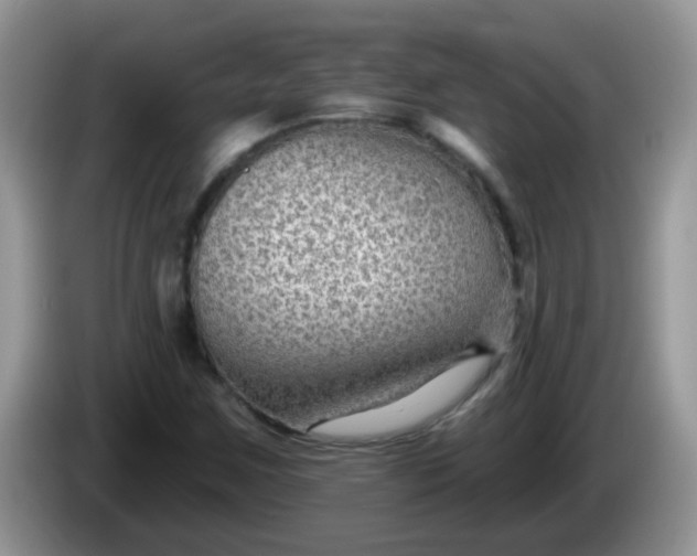 X0000086251259200704121945
