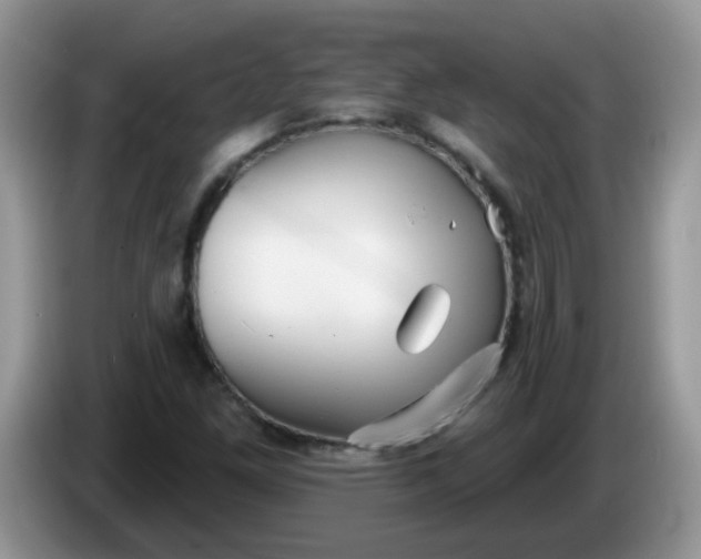X0000086251261200704121945