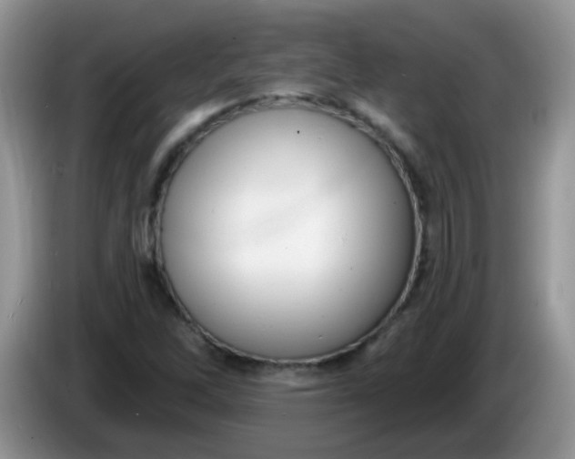 X0000086251262200704121945