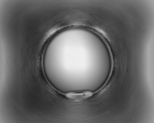 X0000086251263200704121945