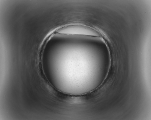 X0000086251264200704121945