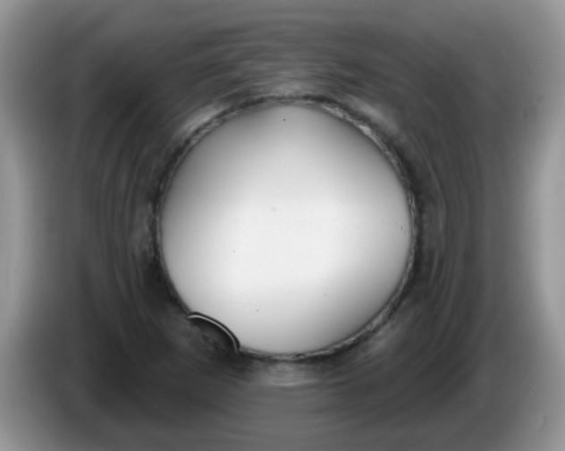 X0000086251265200704121945