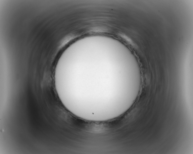 X0000086251266200704121945