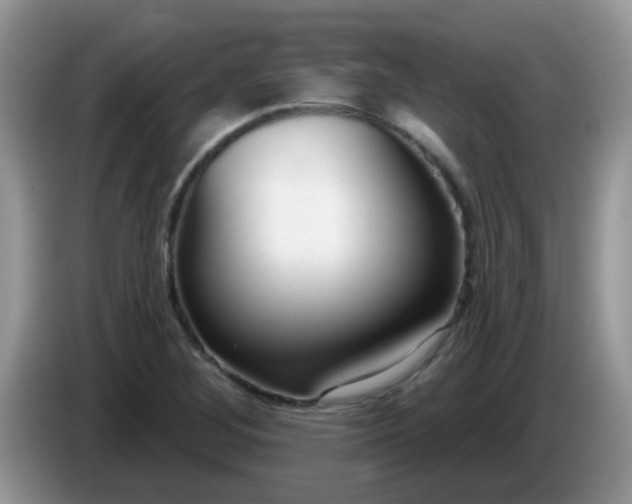 X0000086251268200704121945