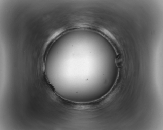 X0000086251269200704121945