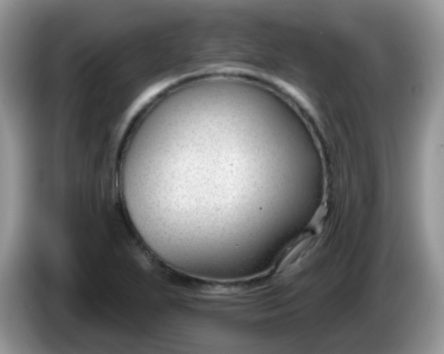 X0000086251271200704121945